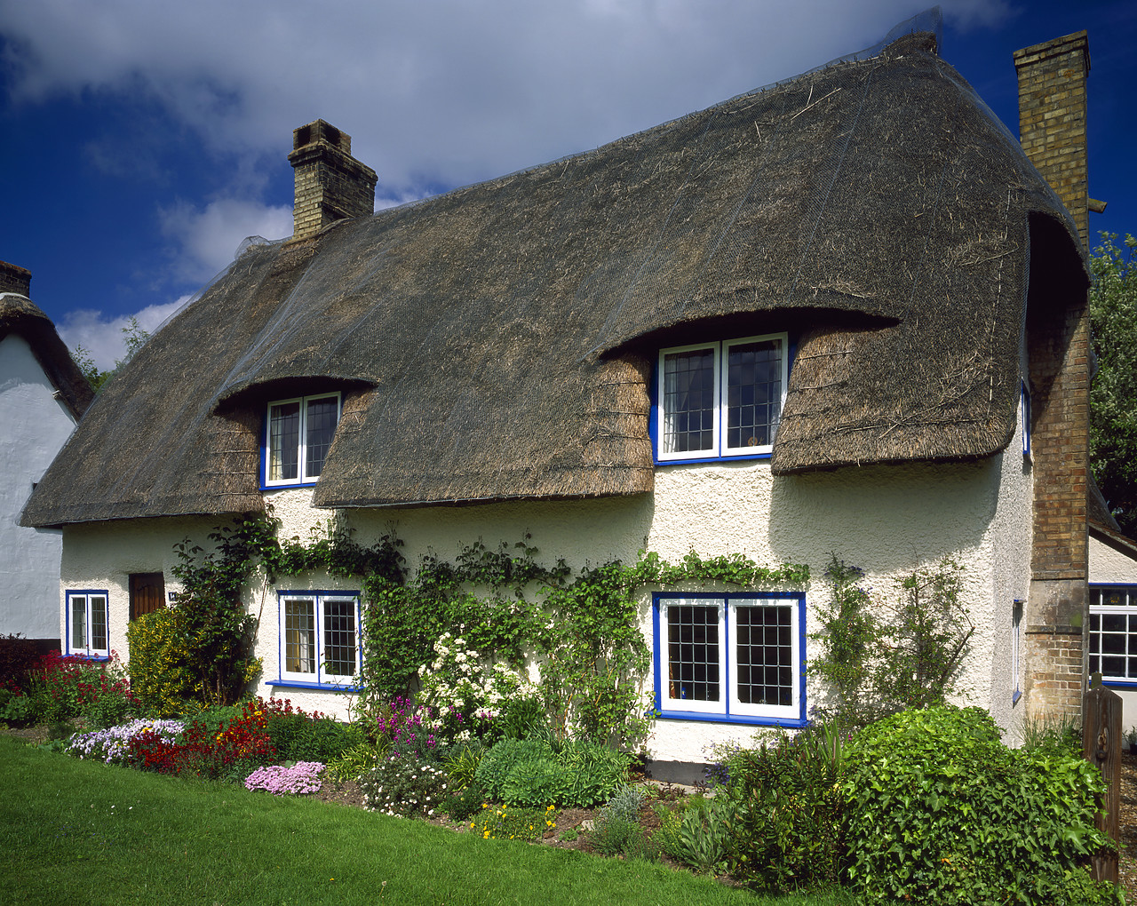 #050130-2 - Thatched Cottage, Barrington, Cambridgeshire, England
