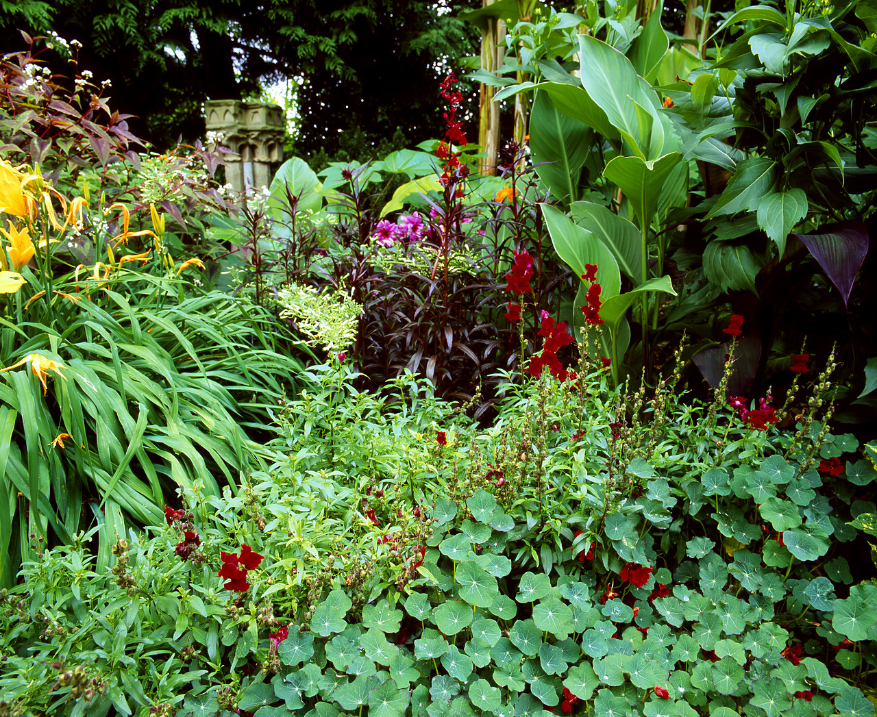 #050290-1 - The Exotic Garden, Norwich, Norfolk, England