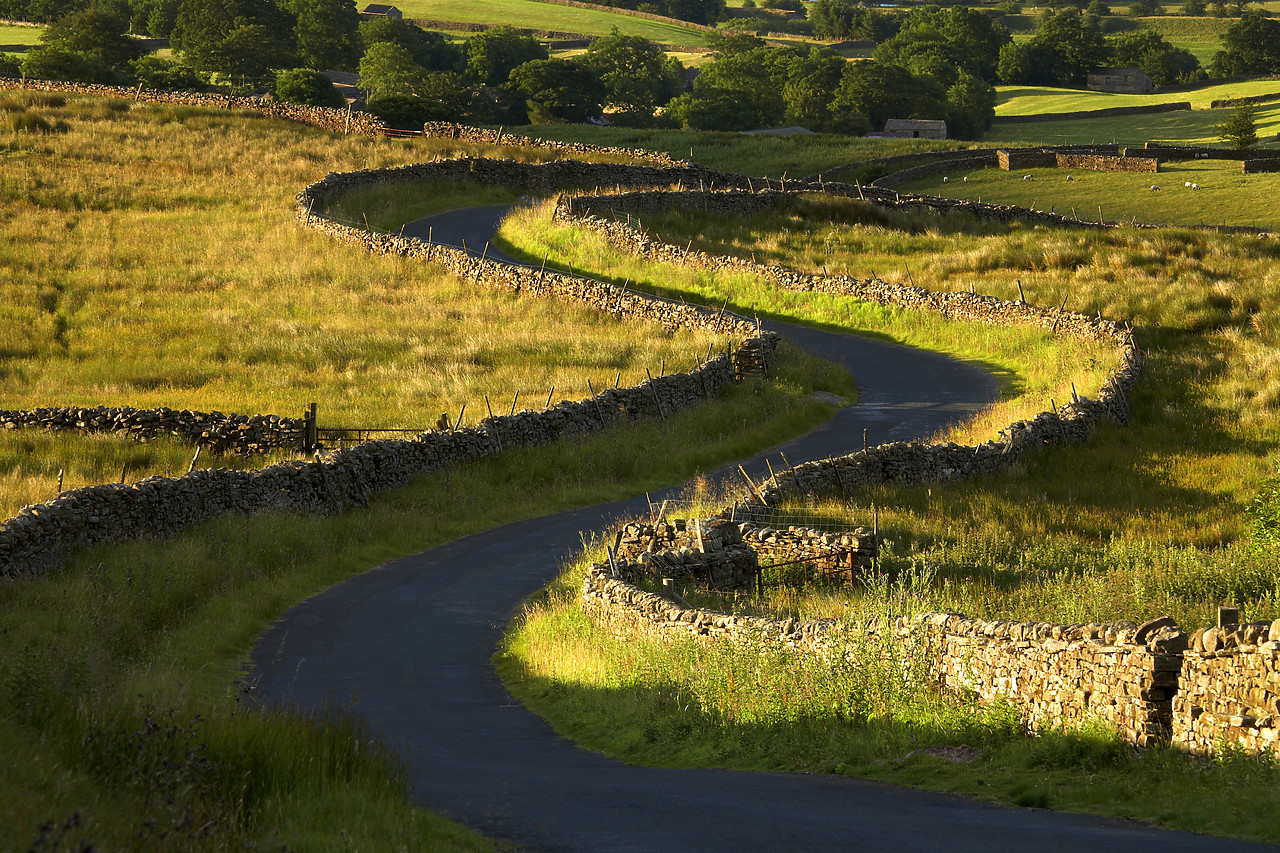 #060128-2 - Winding Country Lane, above Askrigg, Yorkshire Dales, England