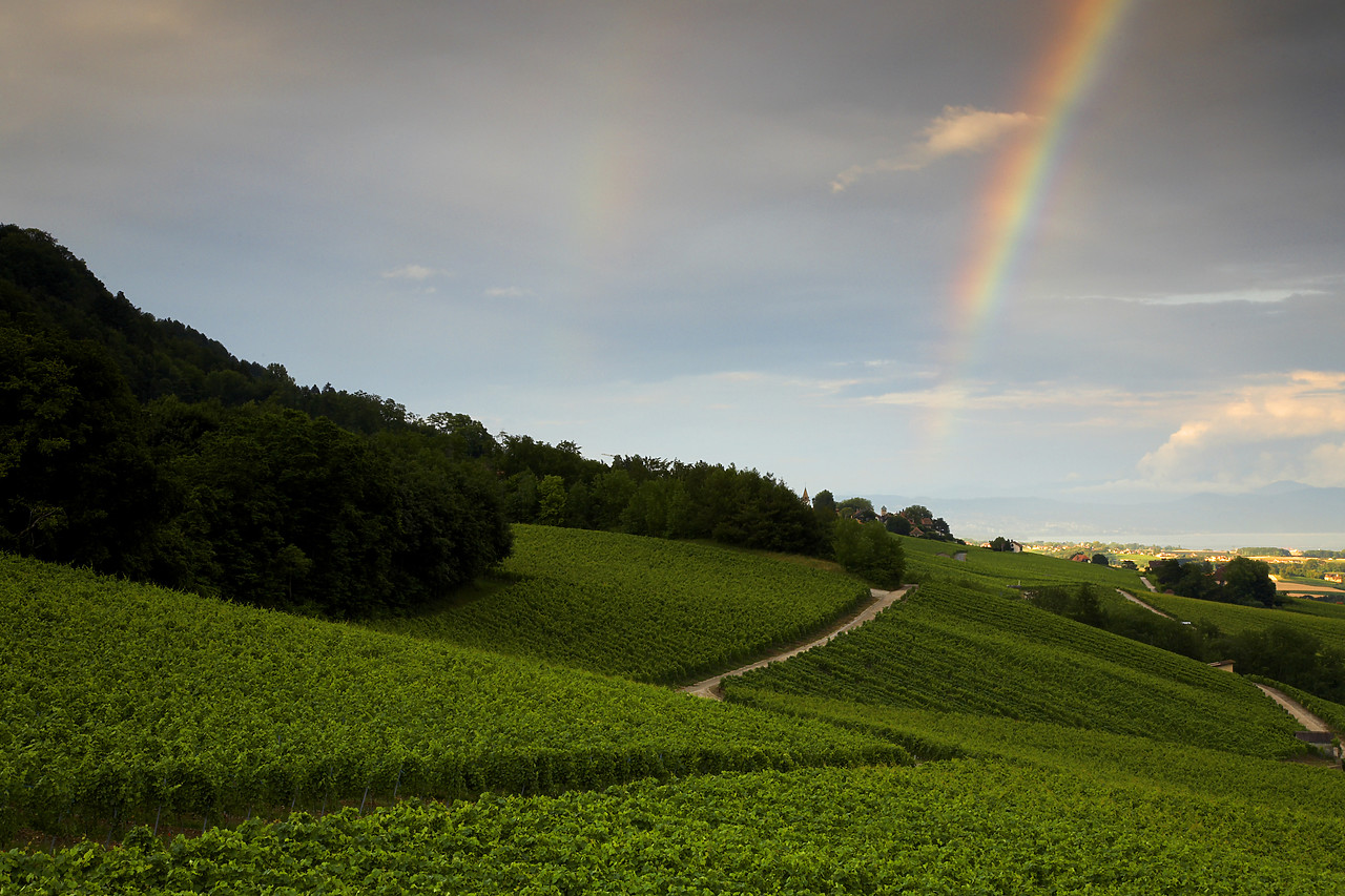 #060396-1 - Road leading to Rainbow, Switzerland