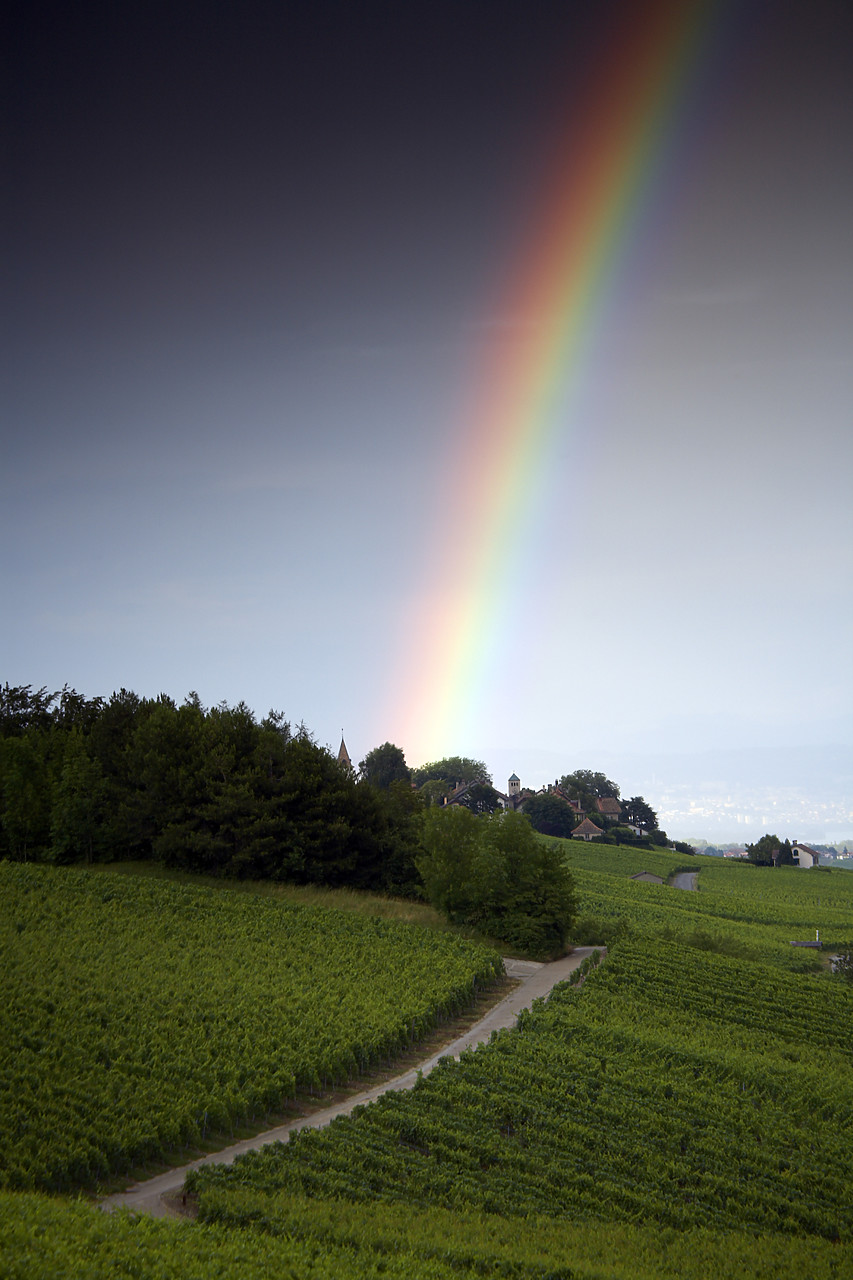 #060396-3 - Road leading to Rainbow, Switzerland