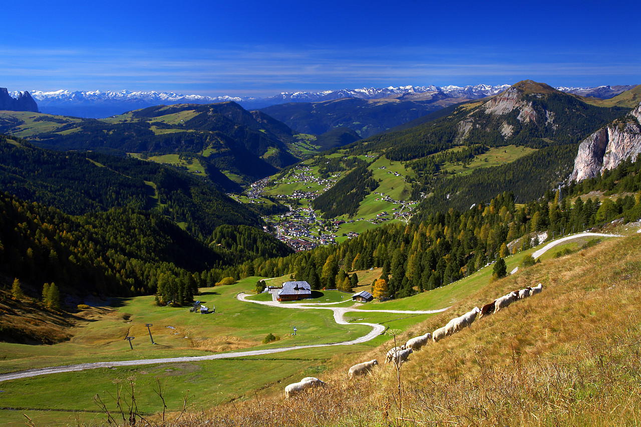 #060565-2 - View over Wolkenstein, Dolomites, Italy