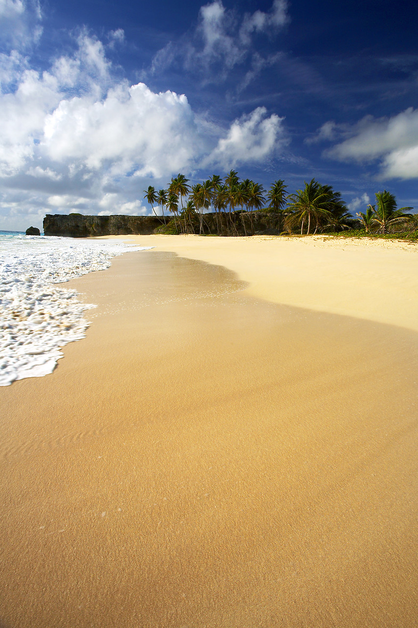 #060655-2 - Beach at Bottom Bay, Barbados, West Indies