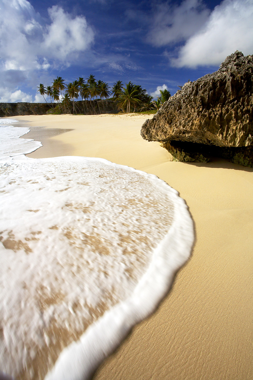 #060655-3 - Wave Crashing on Beach, Bottom Bay, Barbados, West Indies