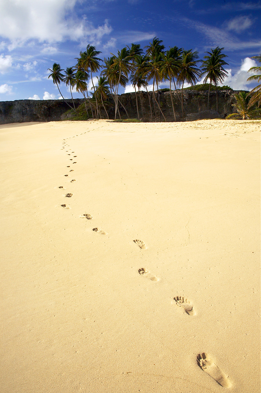 #060656-1 - Footprints on Beach, Bottom Bay, Barbados, West Indies