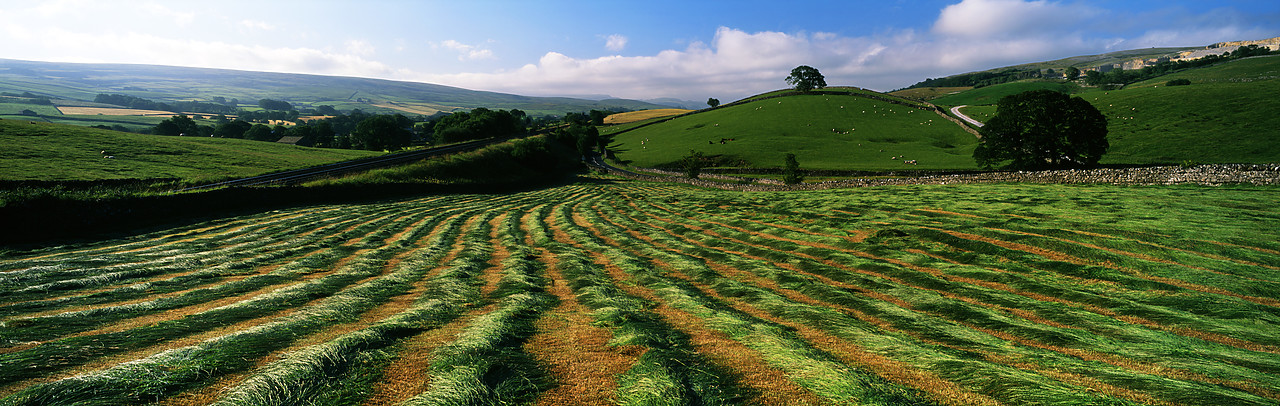 #060779-5 - Rows of Freshly Cut Grass, near Horton in Ribblesdale, North Yorkshire, England