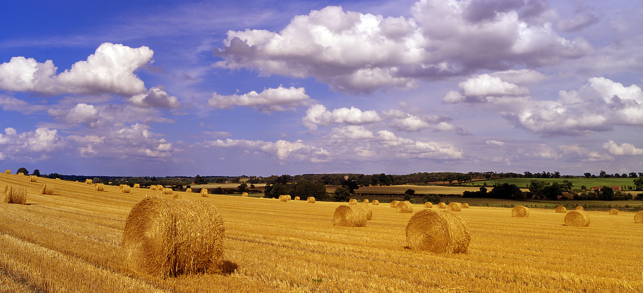 #060785-1 - Field of Straw Bales, Dunstan, Norfolk, England