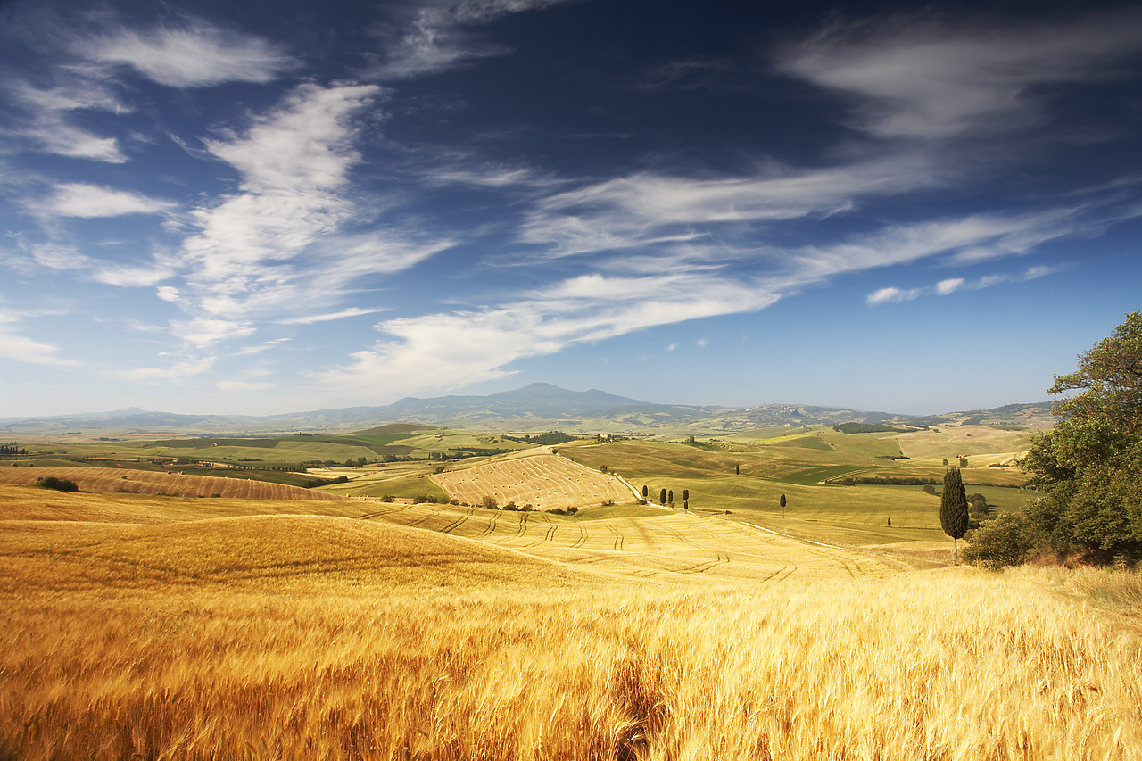 #070146-1 - View over Tuscan Landscape, Pienza, Tuscany, Italy