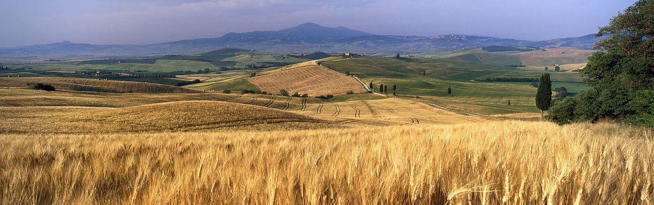 #070146-2 - View over Tuscan Landscape, Pienza, Tuscany, Italy