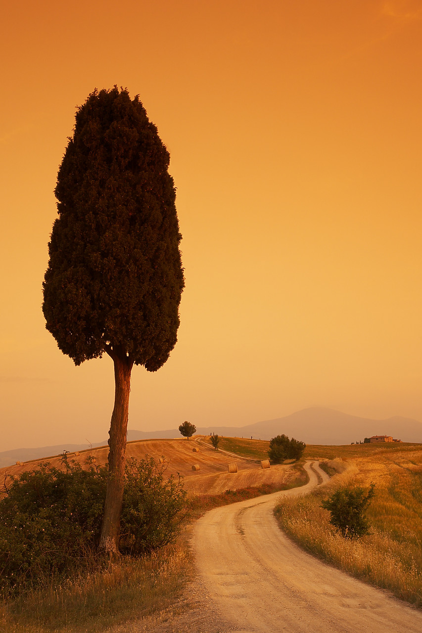#070160-1 - Road through Tuscan Landscape, Pienza, Italy