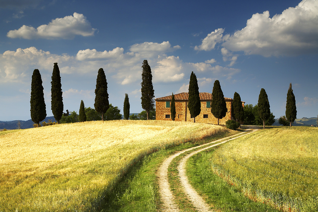 #070167-1 - Track leading to Villa, Pienza, Tuscany, Italy