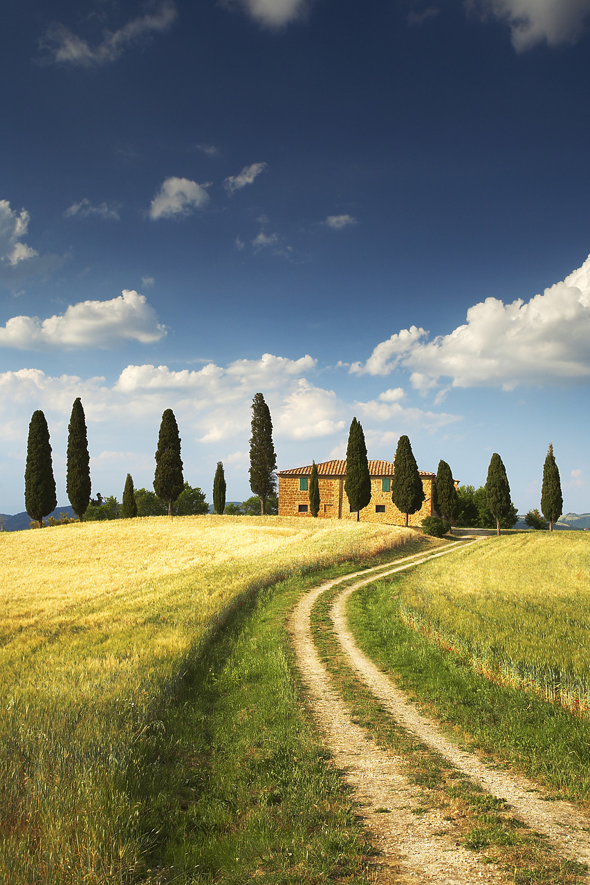 #070167-2 - Track leading to Villa, Pienza, Tuscany, Italy