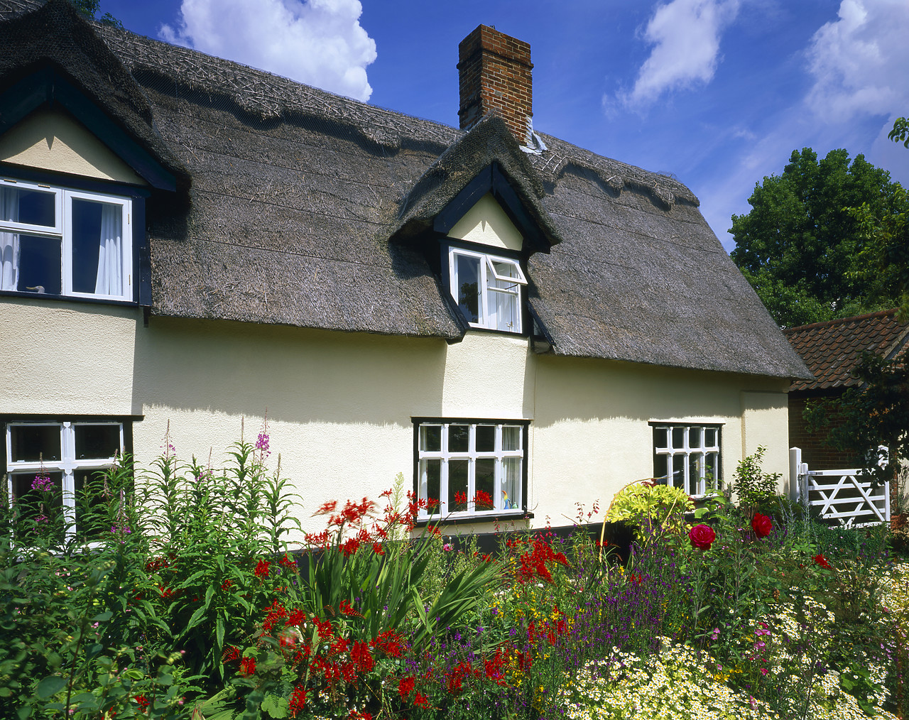 #070248-1 - Thatched Cottage & Garden, Lundy Green, Norfolk, England