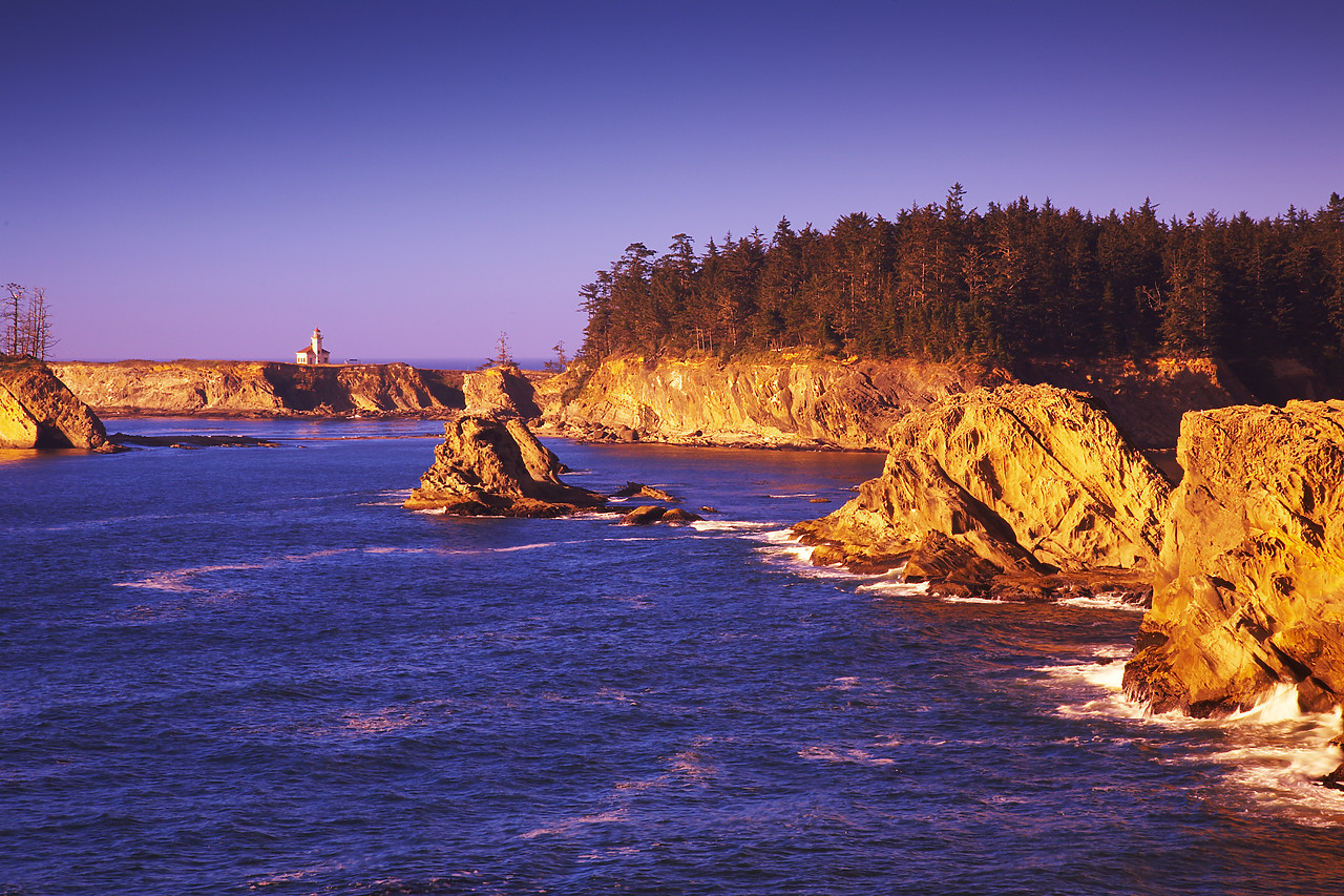 #070365-1 - Cape Arago Lighthouse & Coastline, near Coos Bay, Oregon, USA