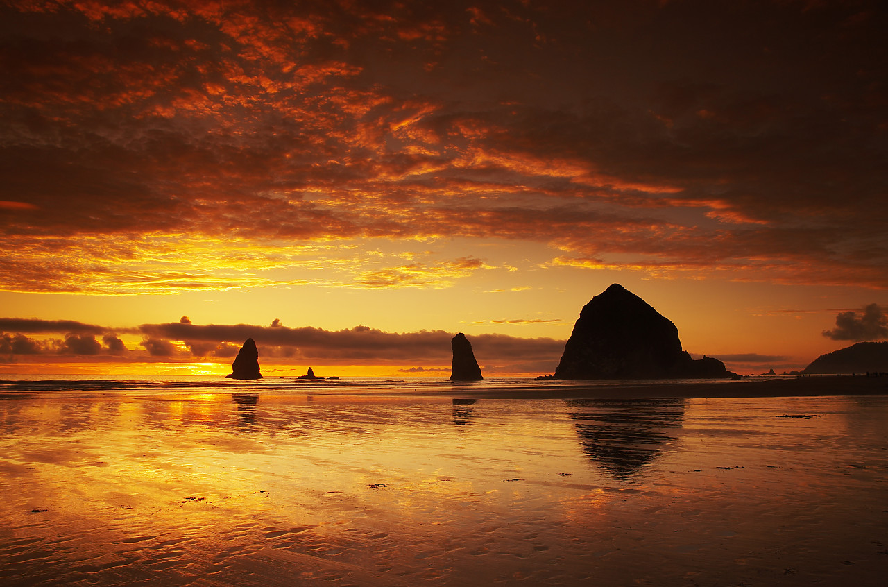 #070380-1 - Cannon Beach at Sunset, Oregon, USA