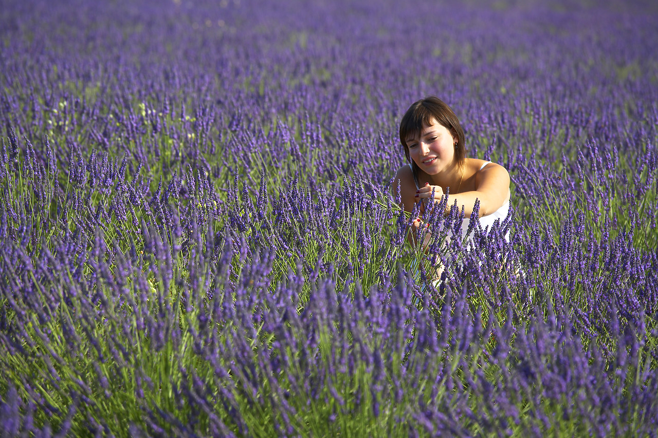 #080151-1 - Girl in Field of Lavender, near Valensole, Alpes de Haute, Provence, France