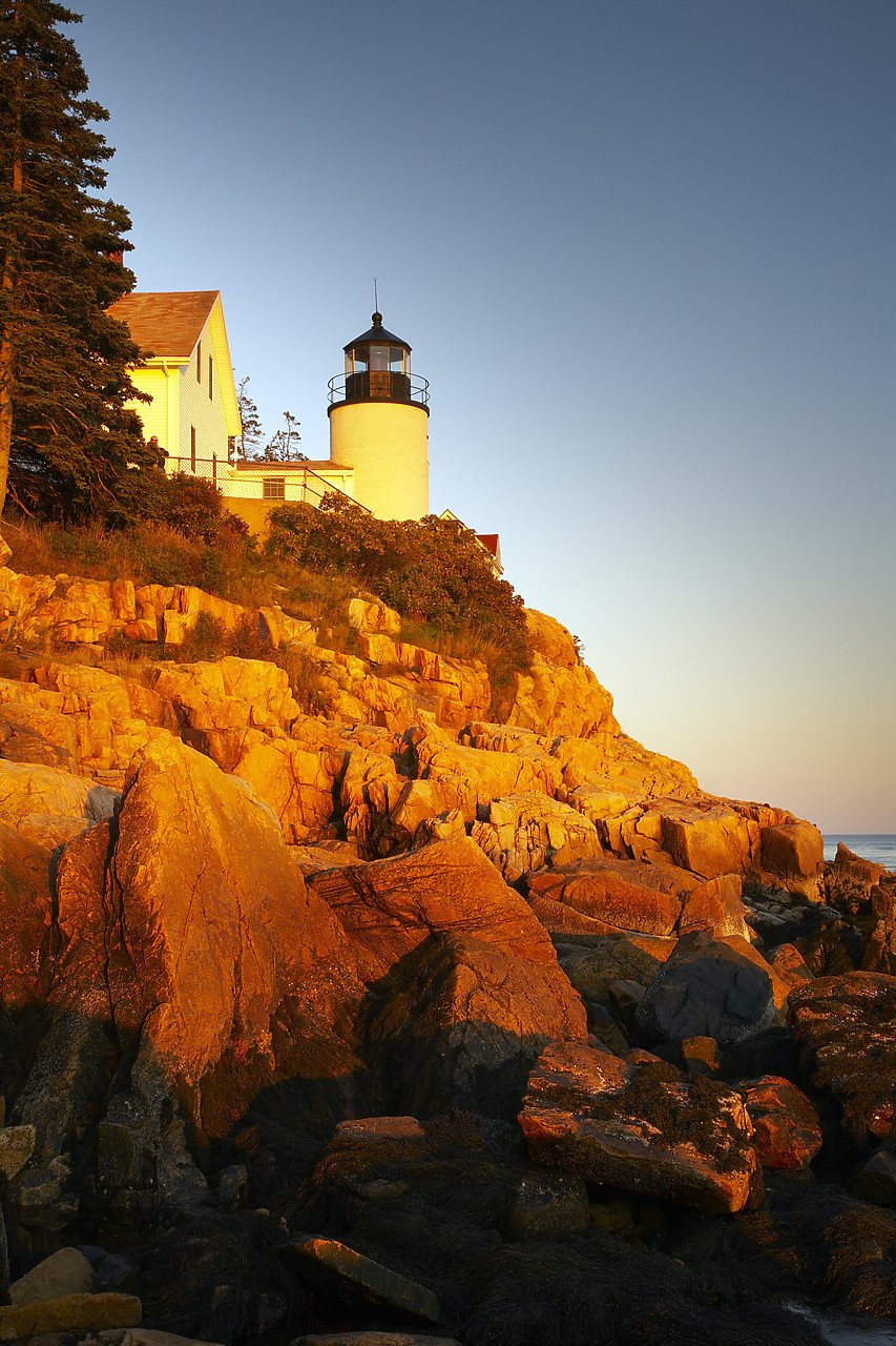 #080286-3 - Bass Harbor Lighthouse, Acadia National Park, Maine, USA