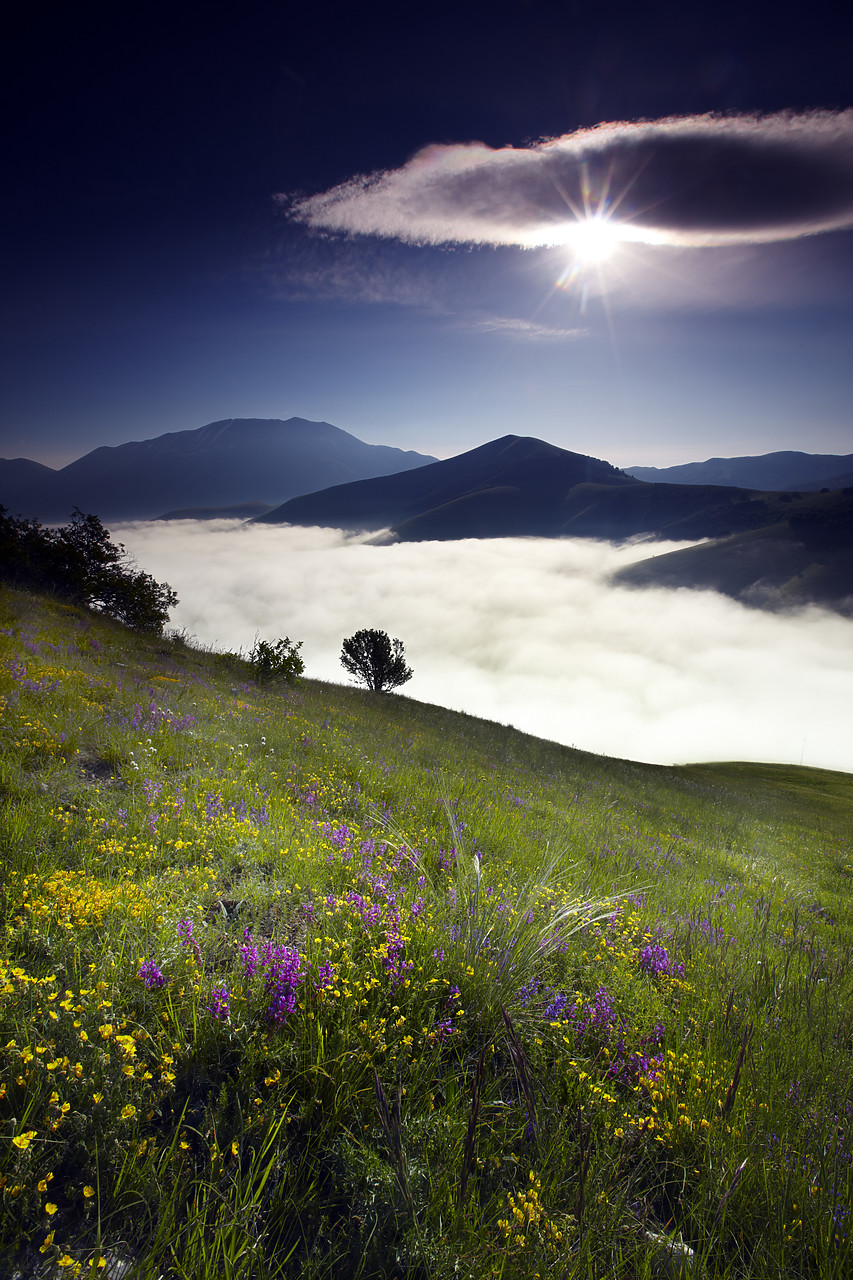 #090132-1 - Wildflowers & Mist in Piano Grande, Silbillini National Park, Valneria, Umbria, Italy