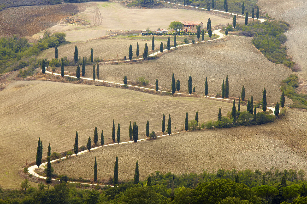 #090190-1 - Winding Cypress Tree Lined Road, La Foce, Tuscany, Italy
