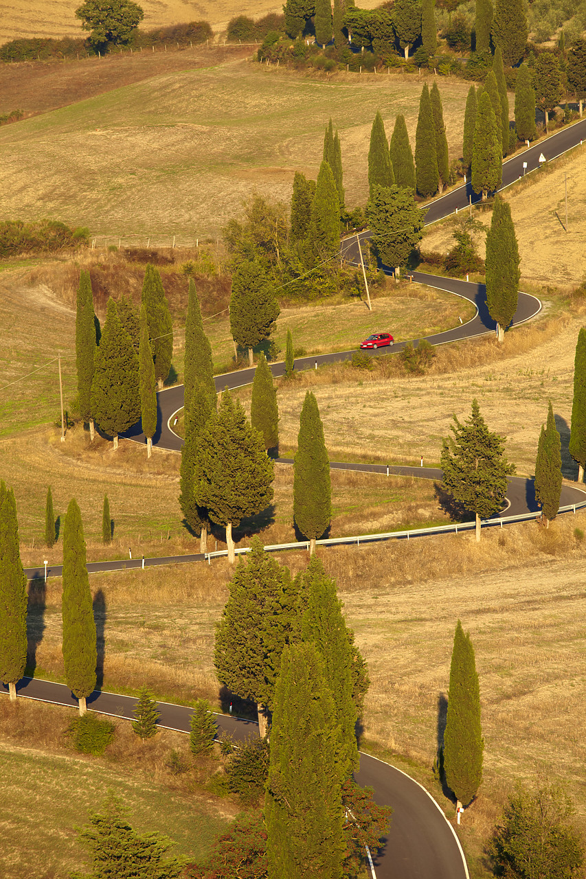 #090217-1 - Red Car on Winding Road of Cypress Trees, near Monticchiello, Tuscany, Italy