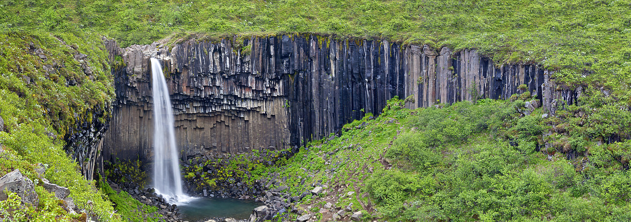 #100267-1 - Svartifoss Waterfall, Skaftafell National Park, Iceland