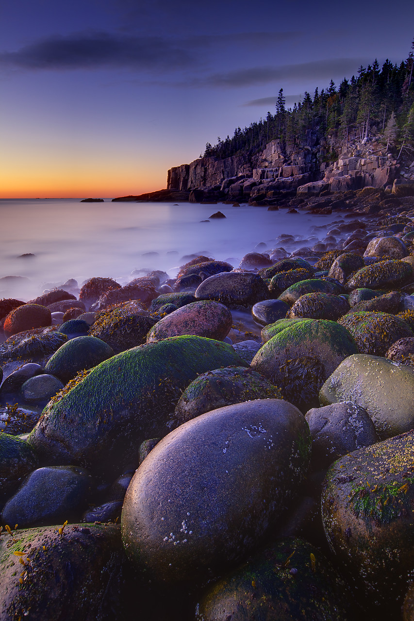 #100438-1 - Otter Cliffs at Sunrise, Acadia National Park, Maine, USA