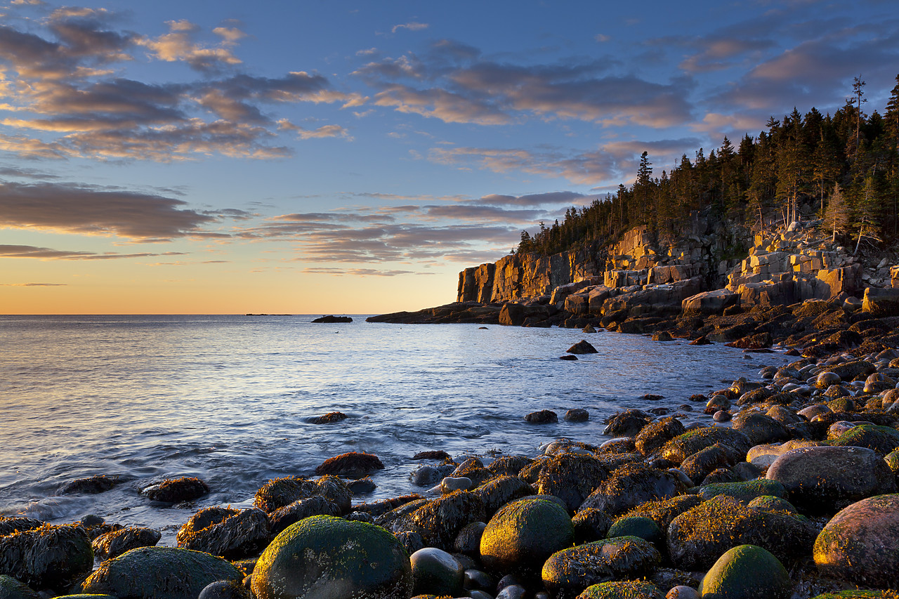 #100440-1 - Otter Cliffs at Sunrise, Acadia National Park, Maine, USA
