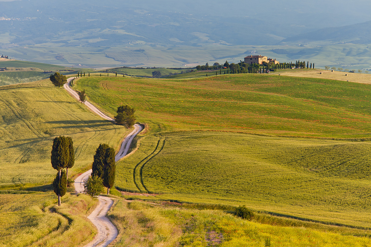 #110162-1 - Road to Villa Terrapille, near Pienza, Tuscany, Italy