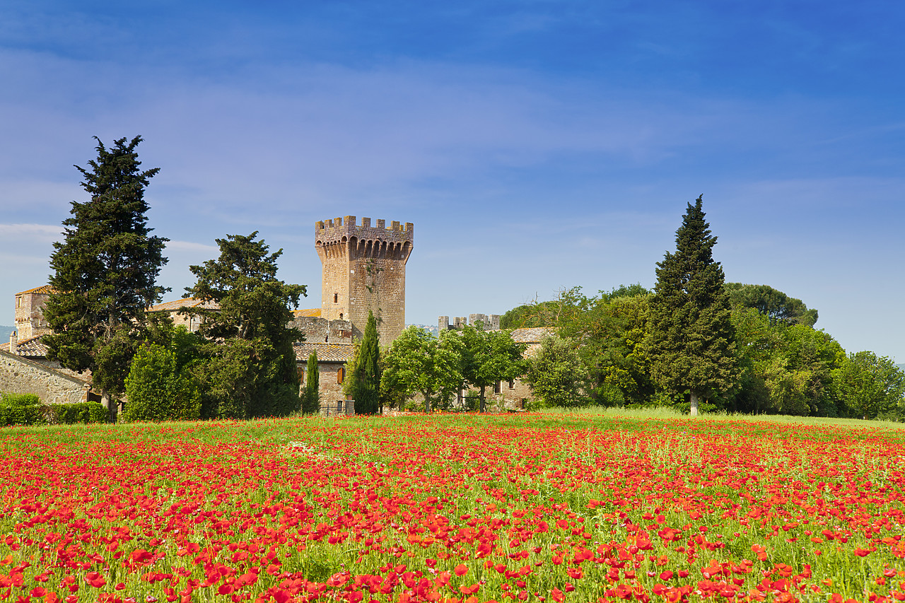 #110169-1 - Casa Picchiata & Field of Poppies, near Pienza, Tuscany, Italy