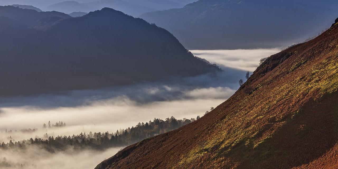 #110351-1 - Mist in Borrowdale, Lake District National Park, Cumbria, England