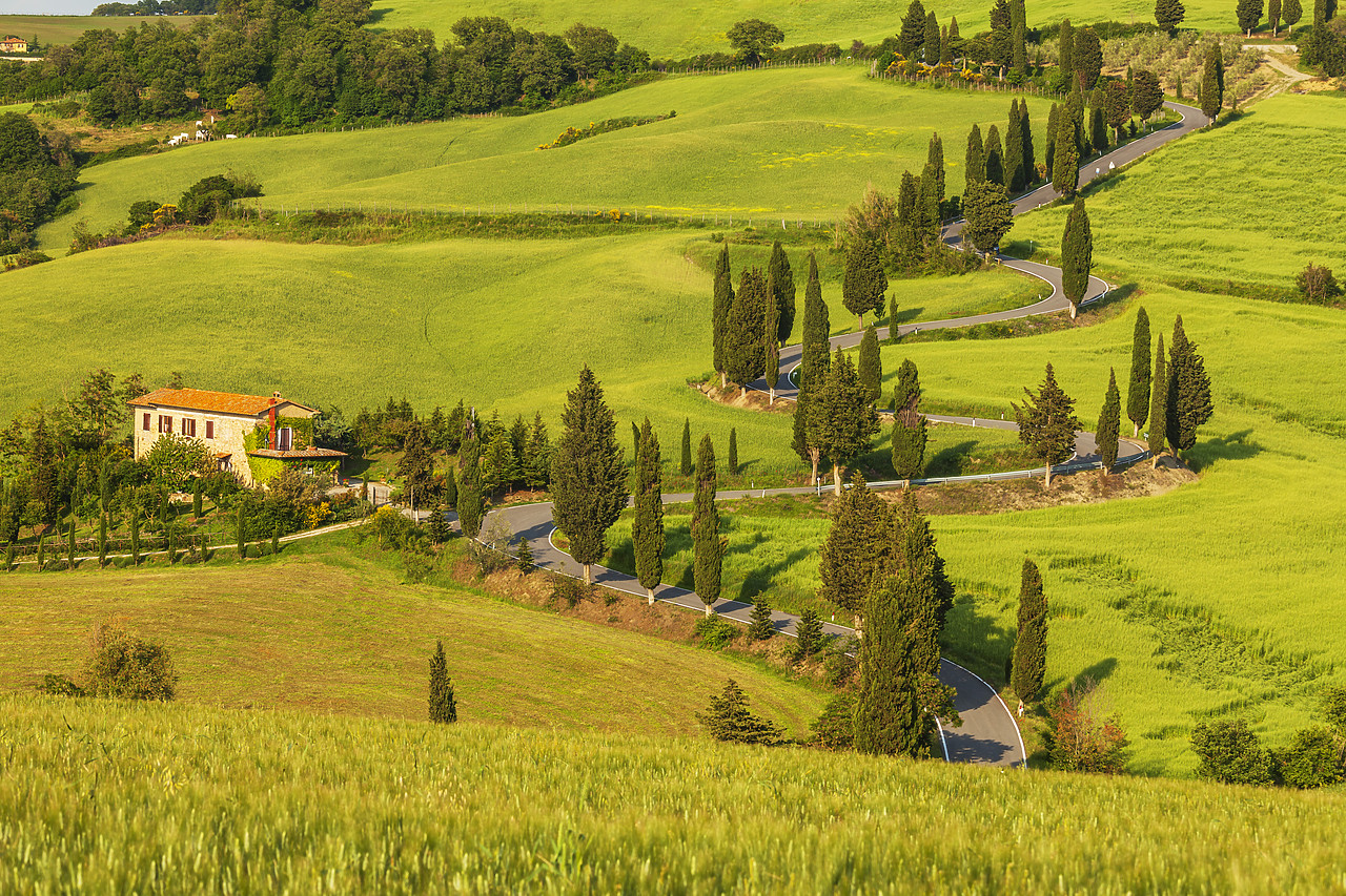 #120056-1 - Winding Road, Monticchiello, Tuscany, Italy