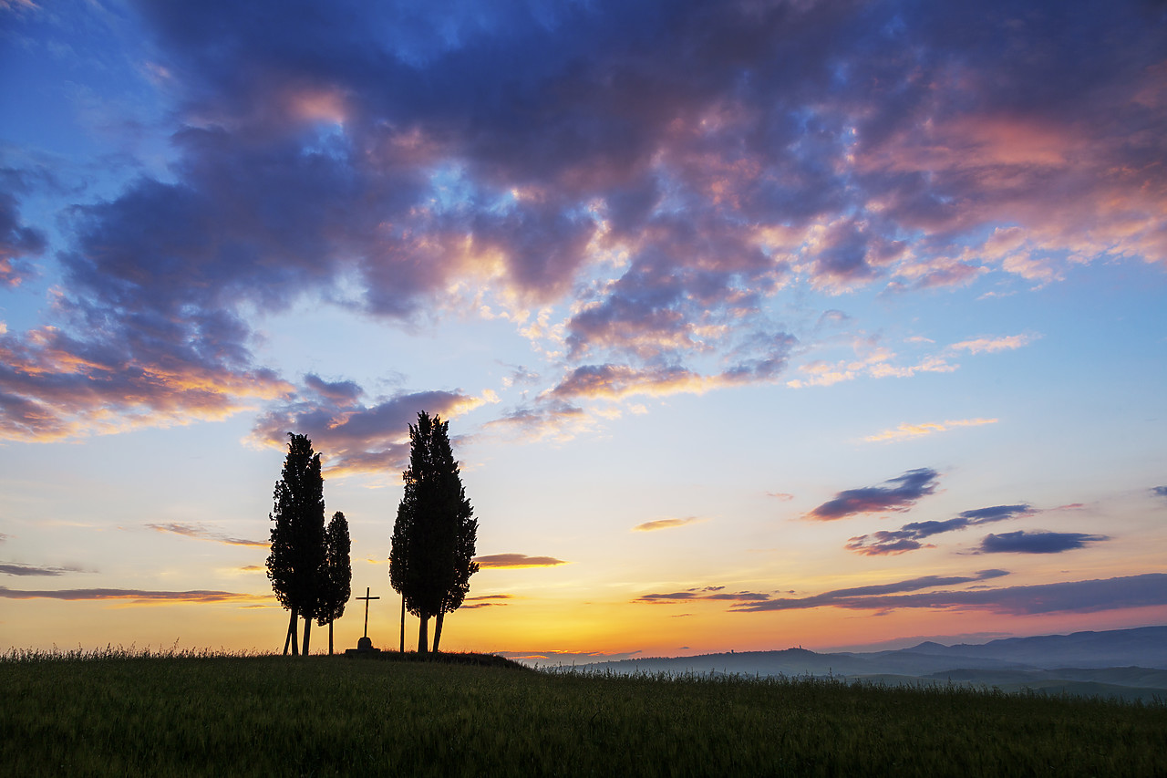 #120064-1 - Cypress Trees & Cross at Sunrise, Val d'Orcia, Tuscany, Italy
