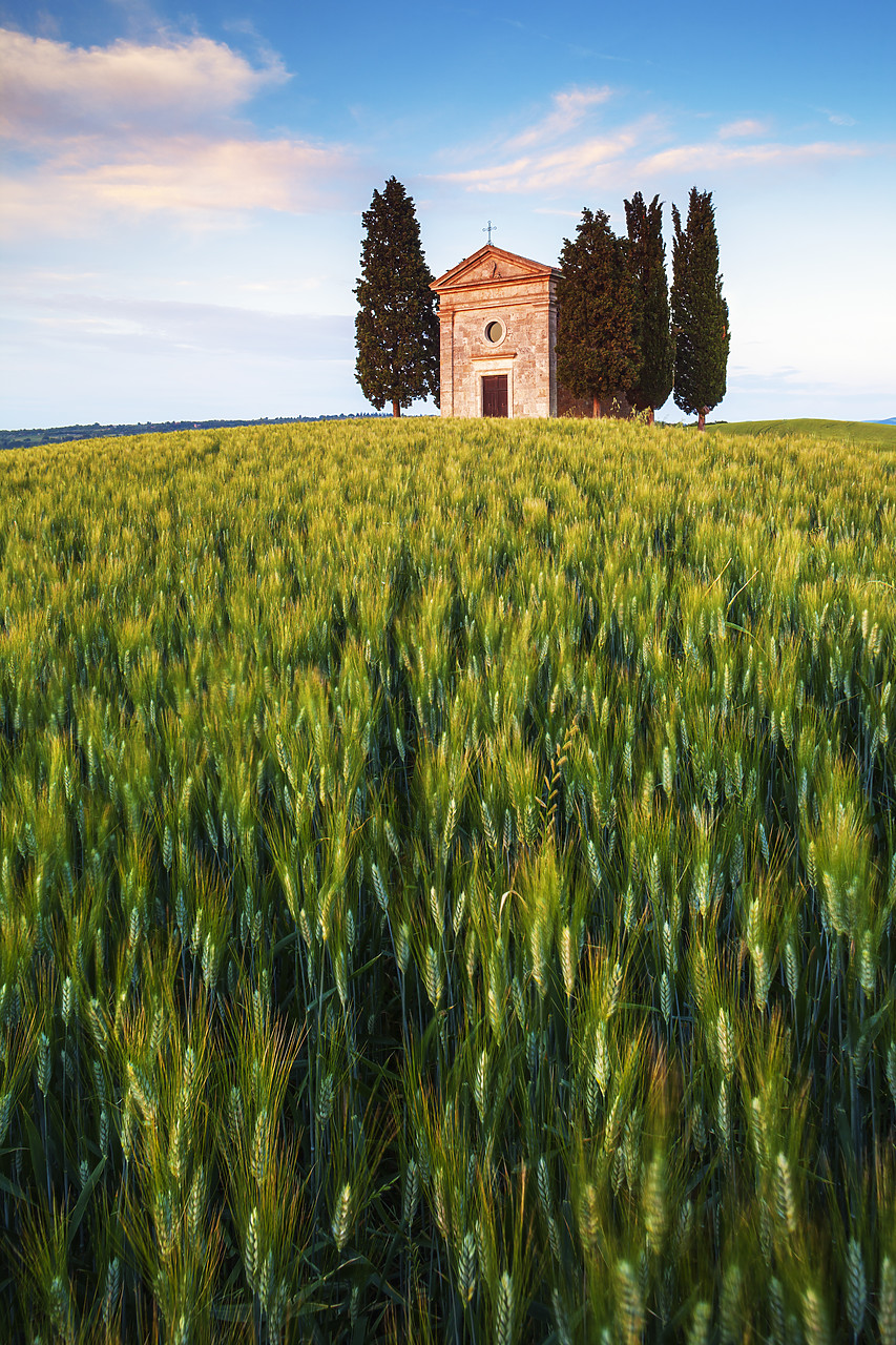 #120074-1 - Chapel Madonna di Vitaleta, Val d'Orcia, Tuscany, Italy