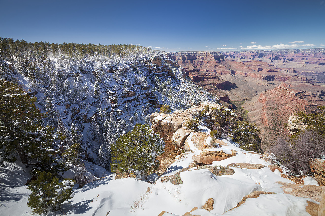 #120102-1 - Fresh Snowfall Along South Rim, Grand Canyon National Park, Arizona, USA