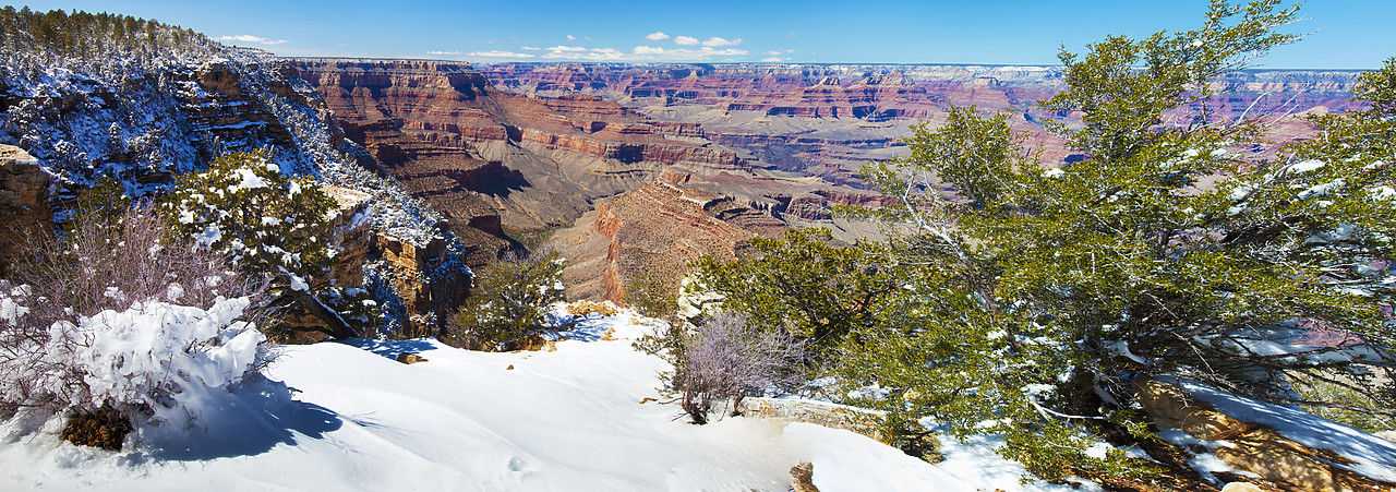 #120103-1 - Fresh Snowfall Along South Rim, Grand Canyon National Park, Arizona, USA