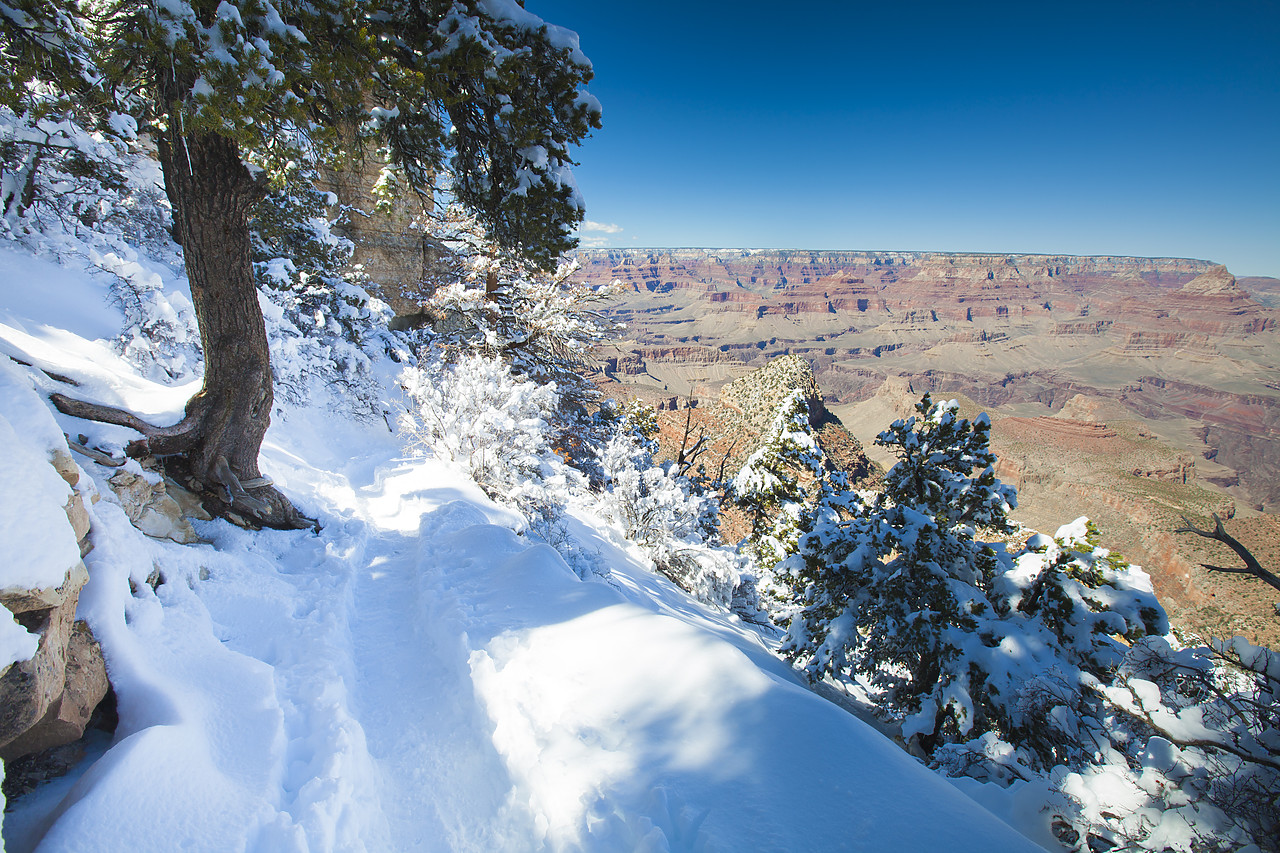 #120105-1 - Fresh Snowfall Along South Rim, Grand Canyon National Park, Arizona, USA