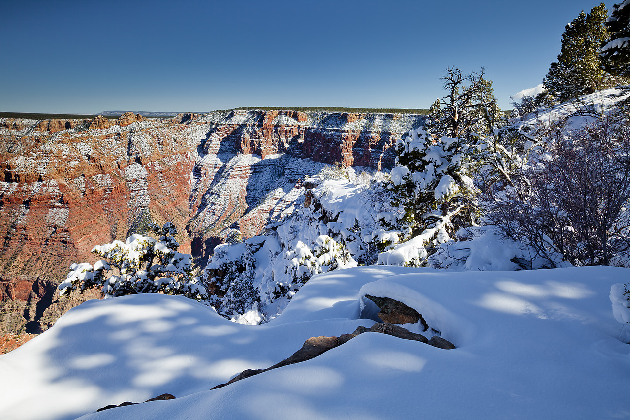 #120107-1 - Fresh Snowfall Along South Rim, Grand Canyon National Park, Arizona, USA