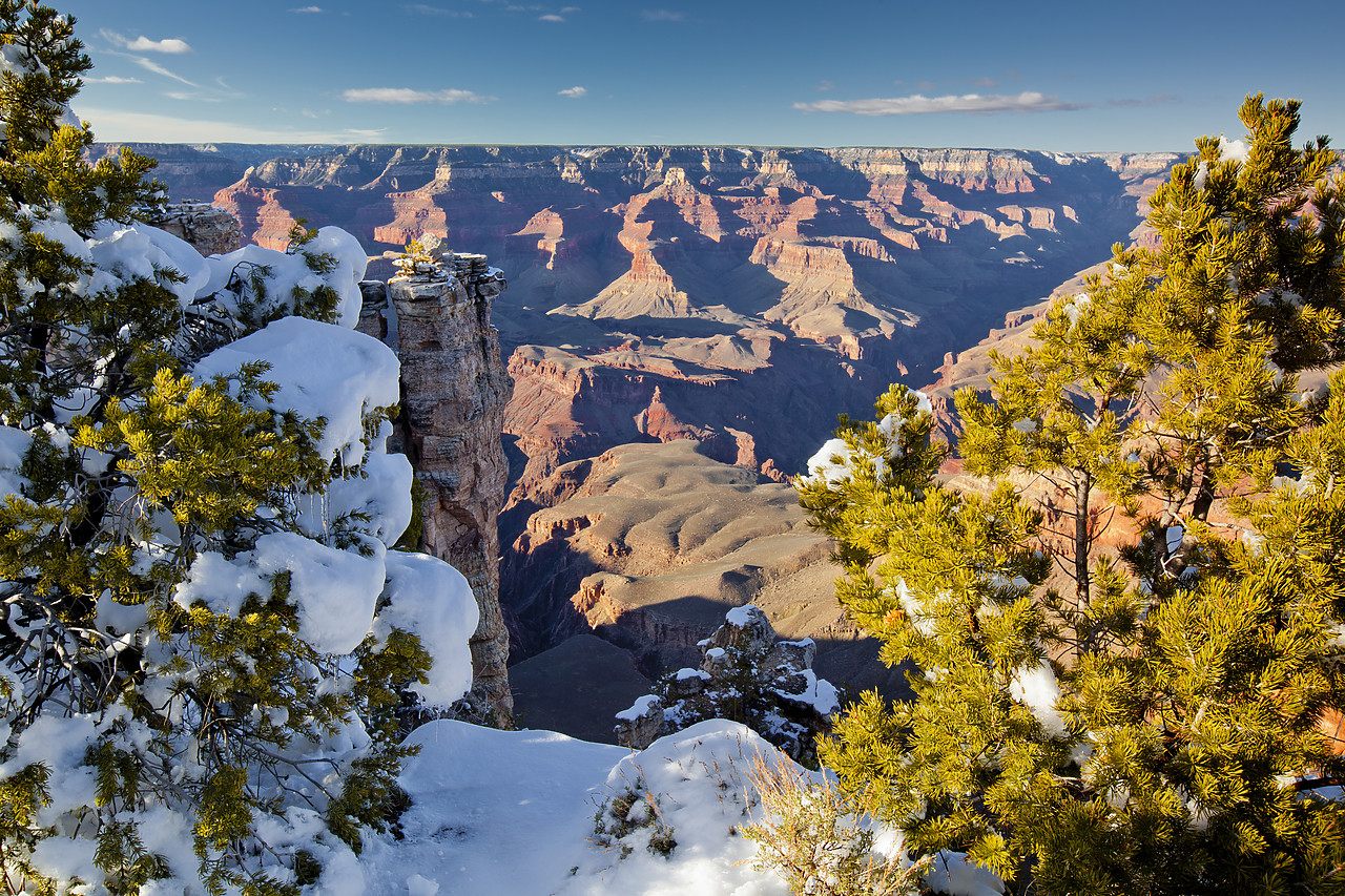 #120108-1 - Snowfall Along South Rim, Grand Canyon National Park, Arizona, USA