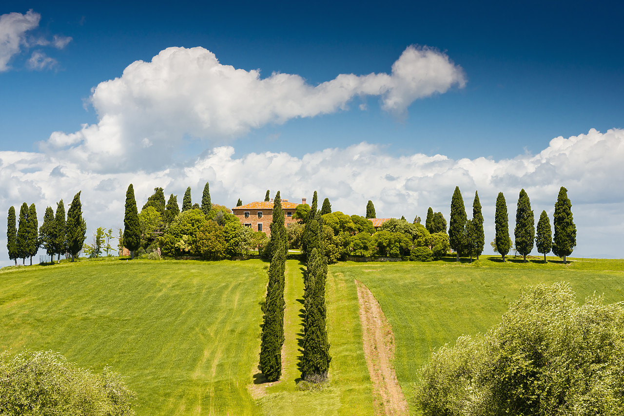 #130197-1 - Gladiator Villa & Cypress Trees, San Quirico, Tuscany, Italy