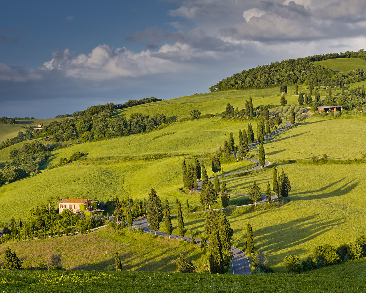 #130206-1 - Villa & Winding Road, Monticchiello, Tuscany, Italy