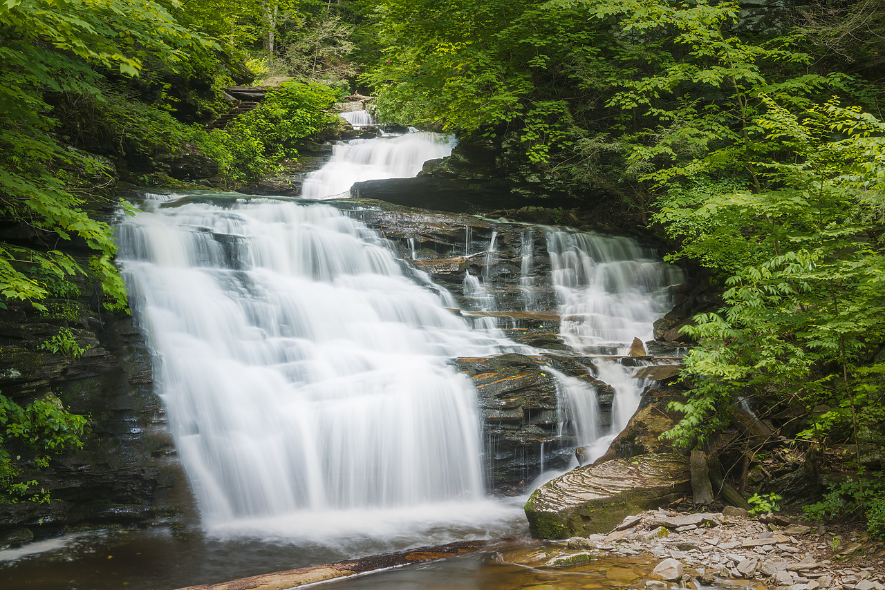 #130240-1 - Mohican Falls, Ricketts Glen State Park, Sullivan County, Pennsylvania, USA