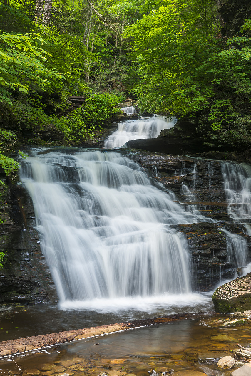 #130240-2 - Mohican Falls, Ricketts Glen State Park, Sullivan County, Pennsylvania, USA