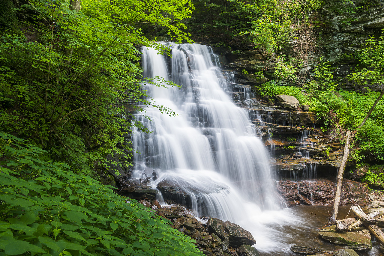 #130241-1 - Erie Falls, Ricketts Glen State Park, Sullivan County, Pennsylvania, USA