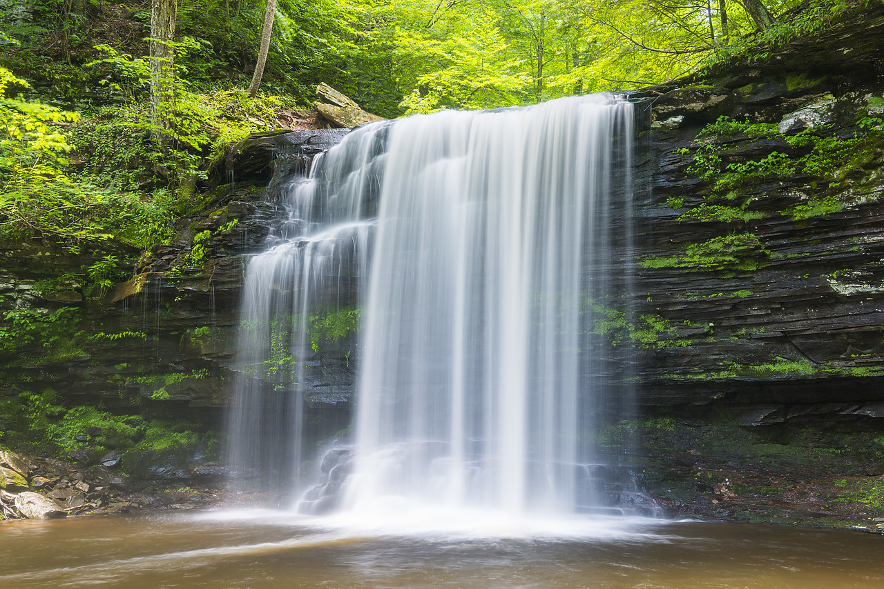 #130242-1 - Harrison Wrights Falls, Ricketts Glen State Park, Sullivan County, Pennsylvania, USA