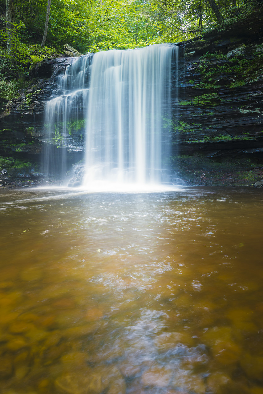 #130242-2 - Harrison Wrights Falls, Ricketts Glen State Park, Sullivan County, Pennsylvania, USA