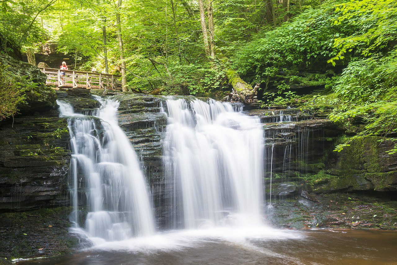 #130244-1 - Wyandot Falls, Ricketts Glen State Park, Sullivan County, Pennsylvania, USA