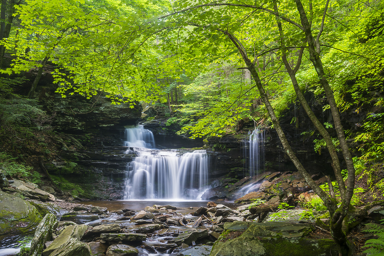 #130246-1 - R.B. Ricketts Falls, Ricketts Glen State Park, Sullivan County, Pennsylvania, USA