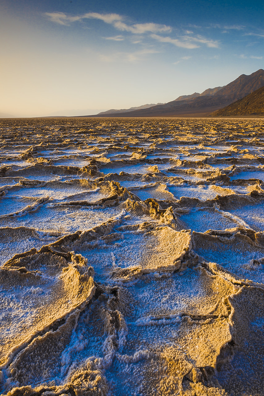 #140122-1 - Salt Polygons, Badwater, Death Valley National Park, California, USA