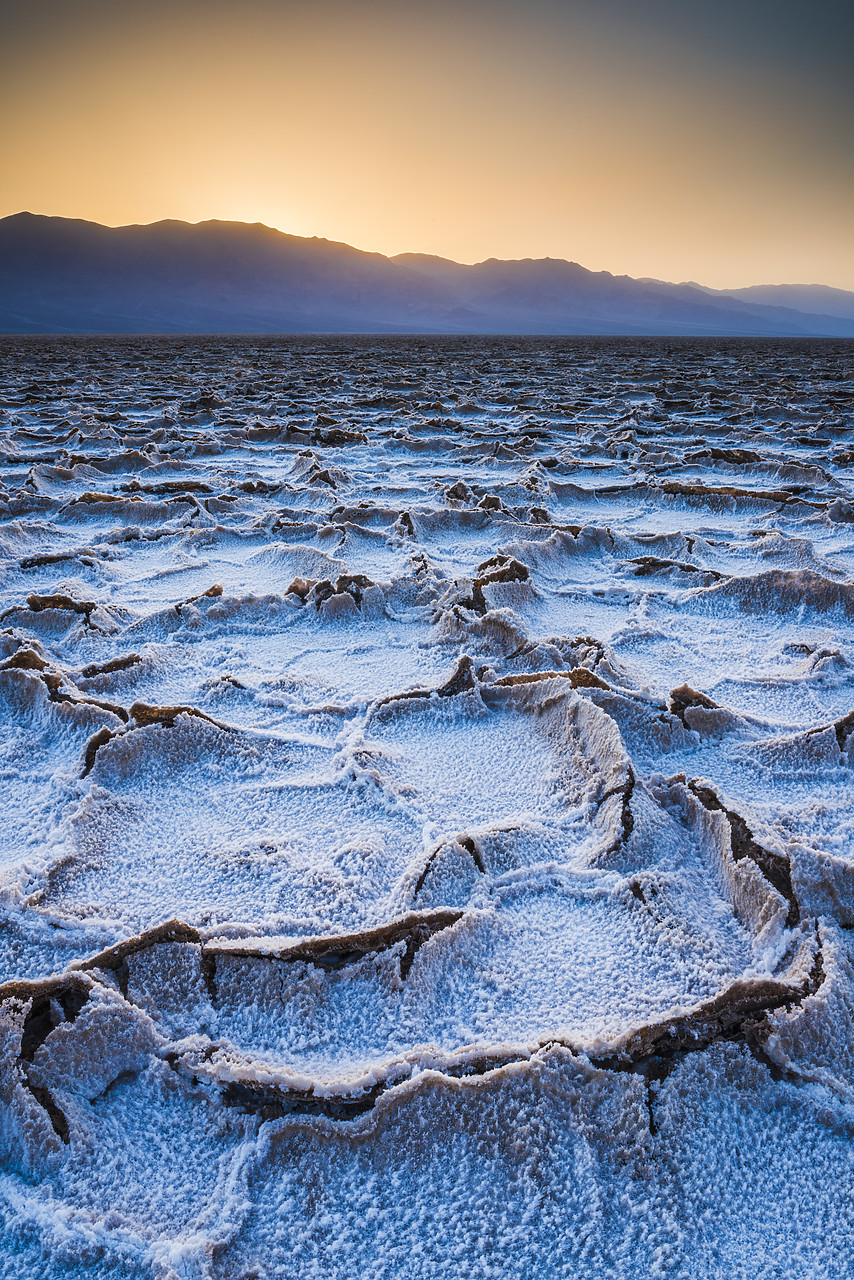 #140123-1 - Salt Polygons, Badwater, Death Valley National Park, California, USA