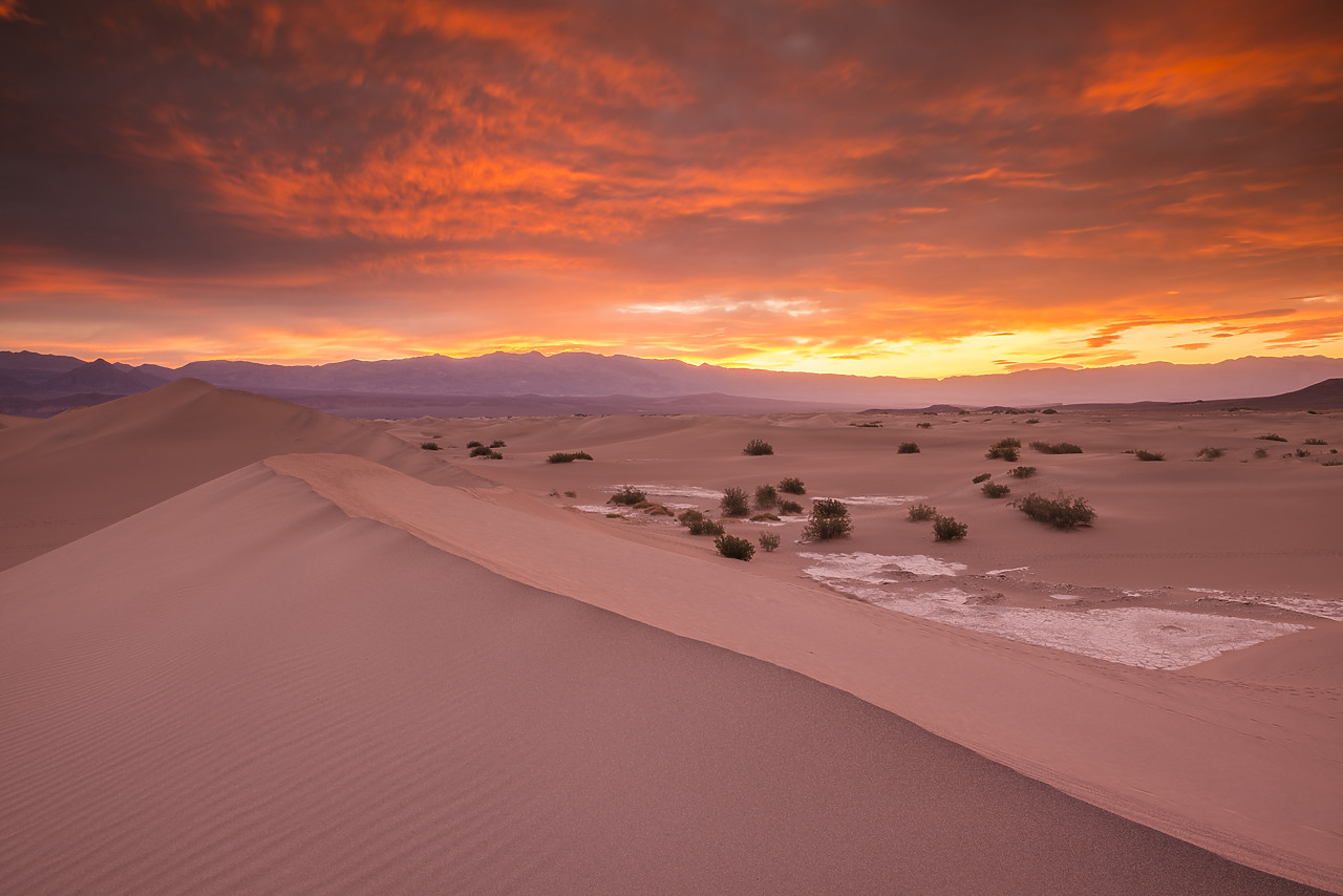 #140131-1 - Mesquite Dunes at Sunrise, Death Valley National Park, California, USA
